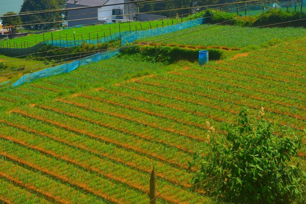 Guest House Hill Paradise Nuwara Eliya Exterior foto