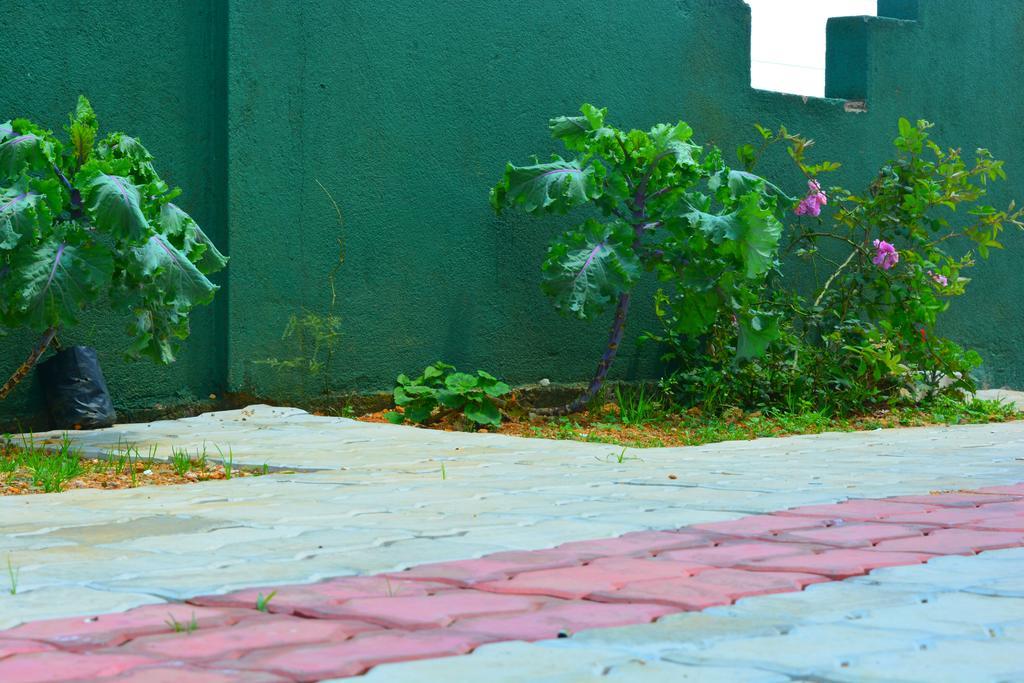 Guest House Hill Paradise Nuwara Eliya Exterior foto
